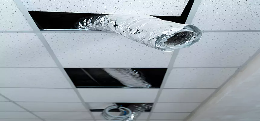 Our Air Duct Pet Hair Removal Services in Johnson City, TN