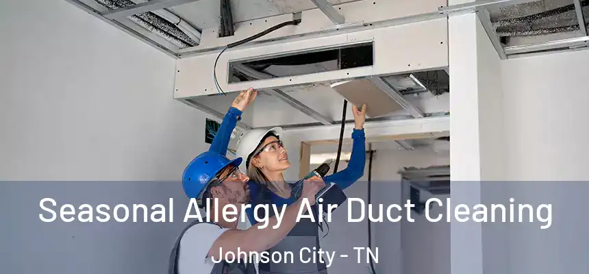  Seasonal Allergy Air Duct Cleaning Johnson City - TN